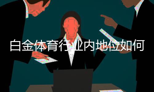 白金体育行业内地位如何：挑战与机遇