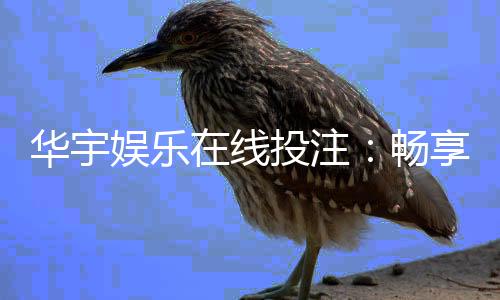 华宇娱乐在线投注：畅享真人娱乐与电子游艺的双重魅力