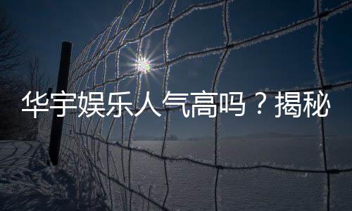 华宇娱乐人气高吗？揭秘其火爆原因与玩家真实评价