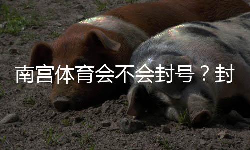 南宫体育会不会封号？封号原因、预防技巧与申诉流程全解析
