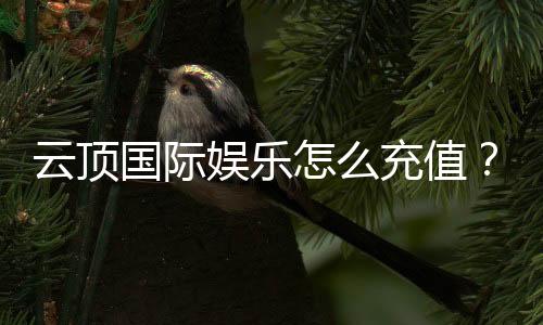 云顶国际娱乐怎么充值？手把手教你快速到账的方法