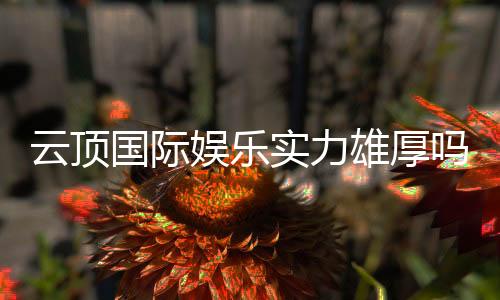 云顶国际娱乐实力雄厚吗？深度解析其平台优势与玩家口碑