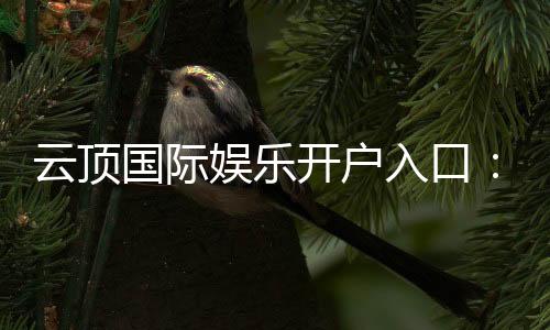 云顶国际娱乐开户入口：轻松注册畅享顶级棋牌电游盛宴
