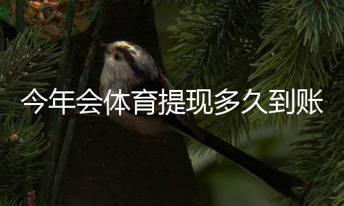 今年会体育提现多久到账？到账时长、延迟原因与加速技巧全解