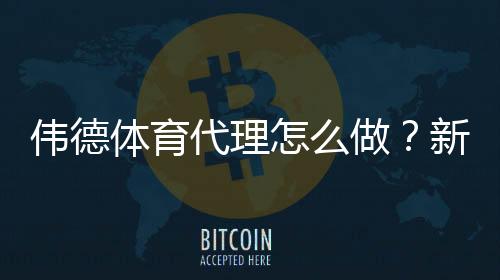 伟德体育代理怎么做？新手开代理全流程、盈利模式与合规要点