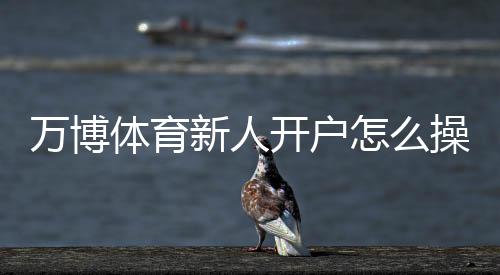 万博体育新人开户怎么操作?注册流程、身份验证与首存优惠全攻略