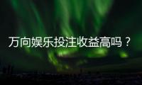 万向娱乐投注收益高吗？资深玩家解析真实盈利策略