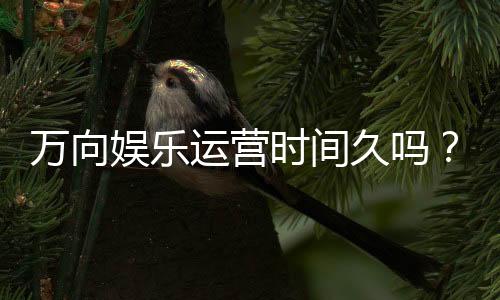 万向娱乐运营时间久吗?资深玩家解析平台历史与稳定性
