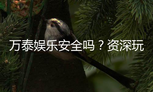 万泰娱乐安全吗？资深玩家实测解析平台可靠性