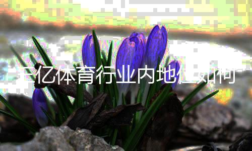三亿体育行业内地位如何？全面解析市场排名、竞争优势与未来前景