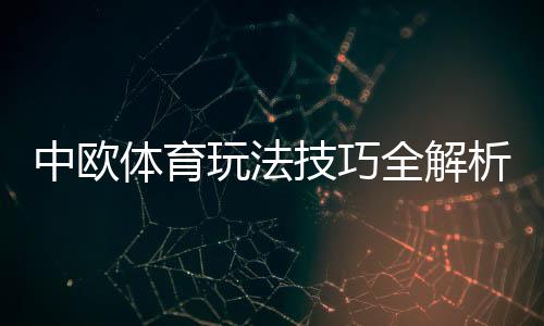 中欧体育玩法技巧全解析：新手入门、投注技巧与实战策略