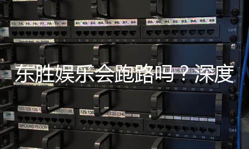 东胜娱乐会跑路吗？深度解析平台安全性与玩家应对策略