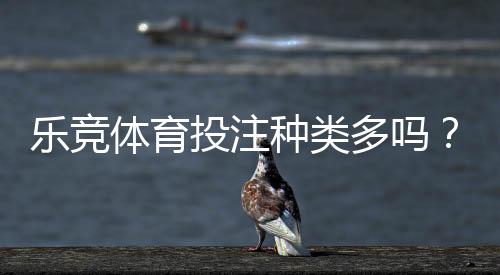乐竞体育投注种类多吗？全面盘点各类投注玩法与新手入门攻略
