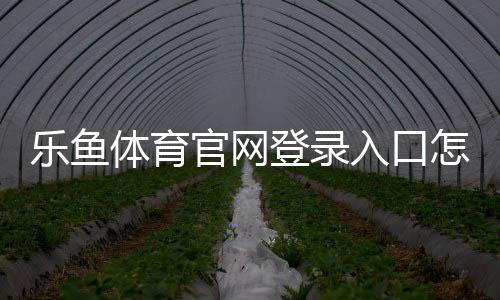 乐鱼体育官网登录入口怎么进?官网注册、登录与常见问题详细教程