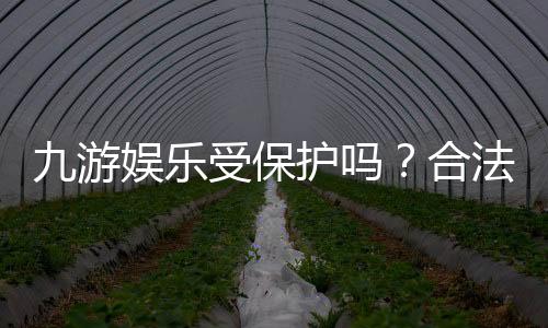 九游娱乐受保护吗？合法性、隐私与资金安全全解析