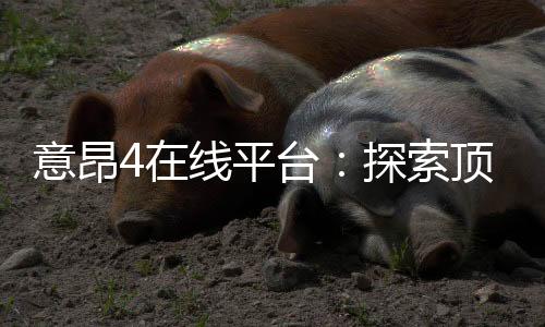 意昂4在线平台：探索顶级娱乐体验与赢奖技巧