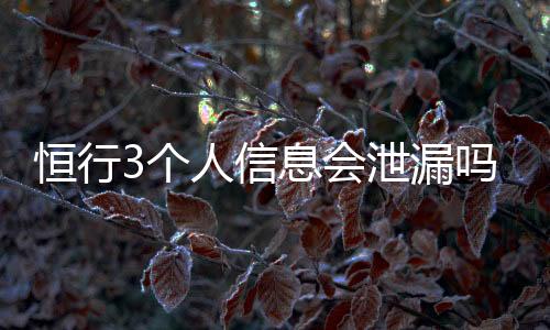 恒行3个人信息会泄漏吗？深度解析平台数据安全机制
