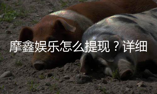 摩鑫娱乐怎么提现？详细步骤与到账时间解析