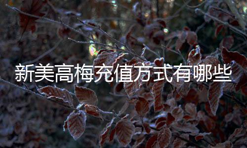 新美高梅充值方式有哪些？详解最新存款渠道与优惠活动