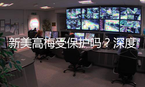 新美高梅受保护吗？深度解析其安全性与玩家保障措施