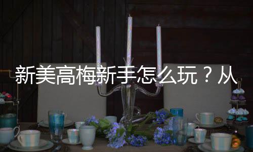 新美高梅新手怎么玩?从注册到实战的完整入门指南
