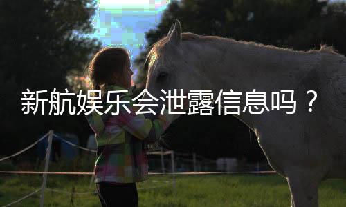 新航娱乐会泄露信息吗？深度解析平台安全性与隐私保护措施