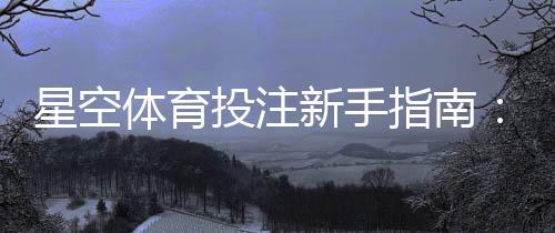 星空体育投注新手指南：平台评测、注册充值流程与实用投注技巧