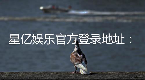 星亿娱乐官方登录地址：畅享顶级棋牌电游的尊贵体验