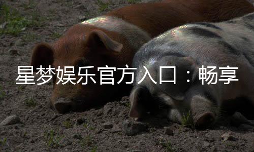 星梦娱乐官方入口：畅享顶级棋牌电游的尊贵体验