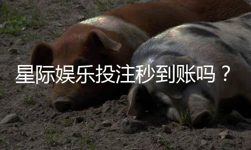 星际娱乐投注秒到账吗？实测到账速度与平台可靠性解析
