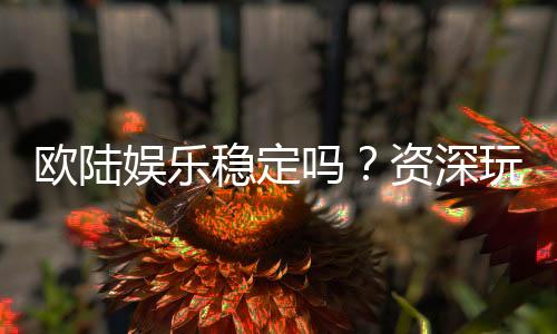 欧陆娱乐稳定吗？资深玩家解析平台安全性与游戏体验