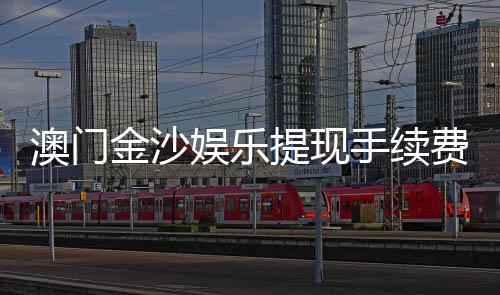 澳门金沙娱乐提现手续费高吗？资深玩家解析费用标准与到账技巧