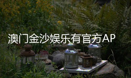 澳门金沙娱乐有官方APP吗？下载安装与使用全攻略
