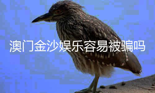 澳门金沙娱乐容易被骗吗？资深玩家揭秘防骗技巧与安全攻略
