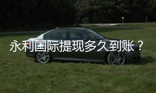 永利国际提现多久到账？快速到账的小技巧分享