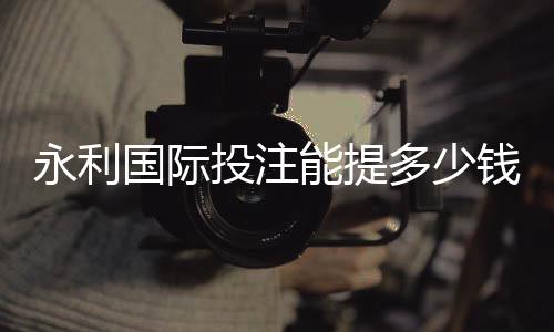 永利国际投注能提多少钱？：全方位了解投注金额范围