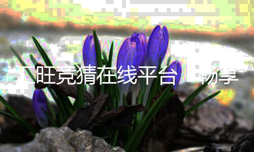 汇旺竞猜在线平台：畅享安全可靠的竞猜娱乐体验