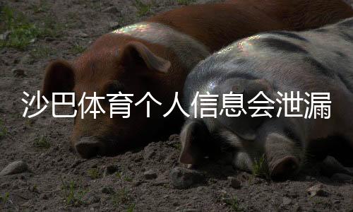 沙巴体育个人信息会泄漏吗？安全风险评估、真实案例与防护全攻略