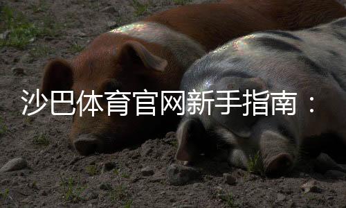 沙巴体育官网新手指南：注册登录、充值提现、安全与常见玩法全攻略