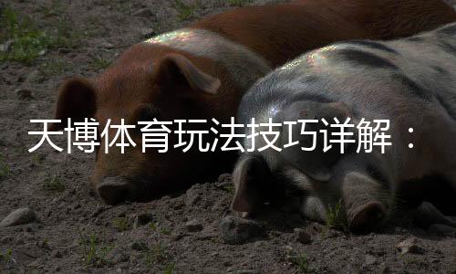 天博体育玩法技巧详解：新手必看实战攻略与投注技巧