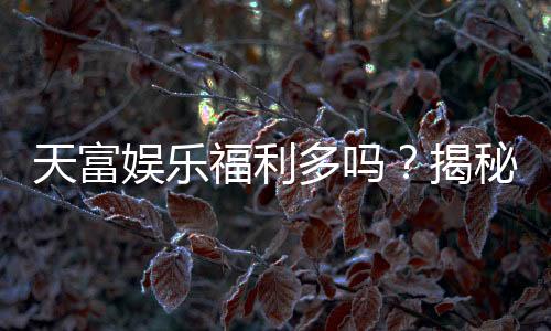 天富娱乐福利多吗？揭秘其丰厚福利与独家优惠活动