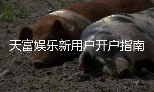 天富娱乐新用户开户指南：轻松注册领取豪礼