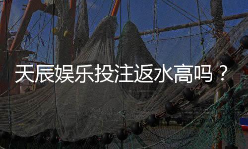 天辰娱乐投注返水高吗？真实返水比例揭秘与玩家体验分析