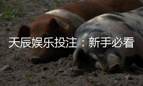 天辰娱乐投注：新手必看玩法技巧与盈利攻略