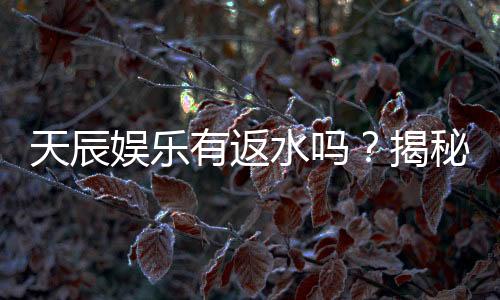 天辰娱乐有返水吗？揭秘返水规则与高额回馈详情