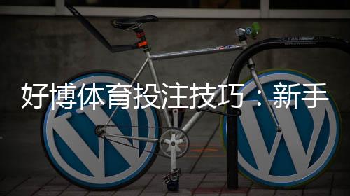 好博体育投注技巧：新手入门与实战策略提升命中率与风险控制
