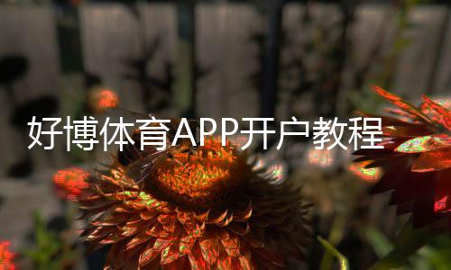 好博体育APP开户教程：新手注册流程、实名认证与安全充值全攻略