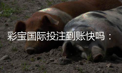 彩宝国际投注到账快吗:体验分享