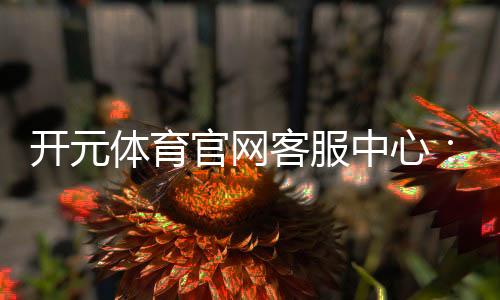 开元体育官网客服中心：专业解答与高效服务指南