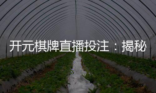 开元棋牌直播投注:揭秘高手实战技巧与稳赢策略